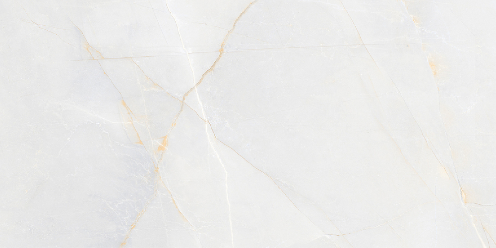 Kevis Canvas White Polished 60x120