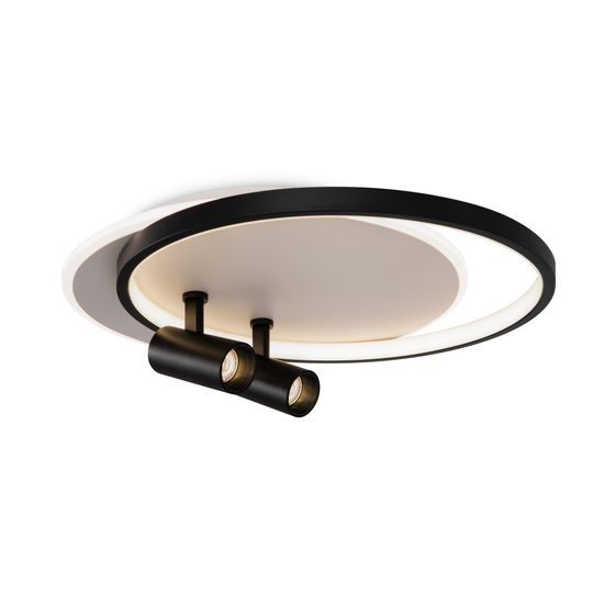 Потолочный светильник Freya FR6083CL-L106WB