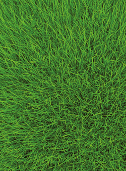 Коллекция Текстуры и фактуры