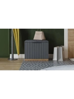 Прихожая с зеркалом Дуб Крафт золотой 245х43х226