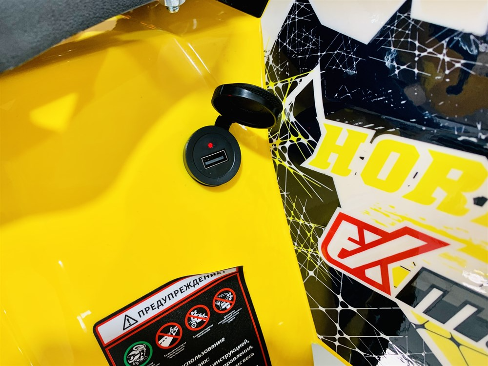 Квадроцикл FXMOTO HORNET 125