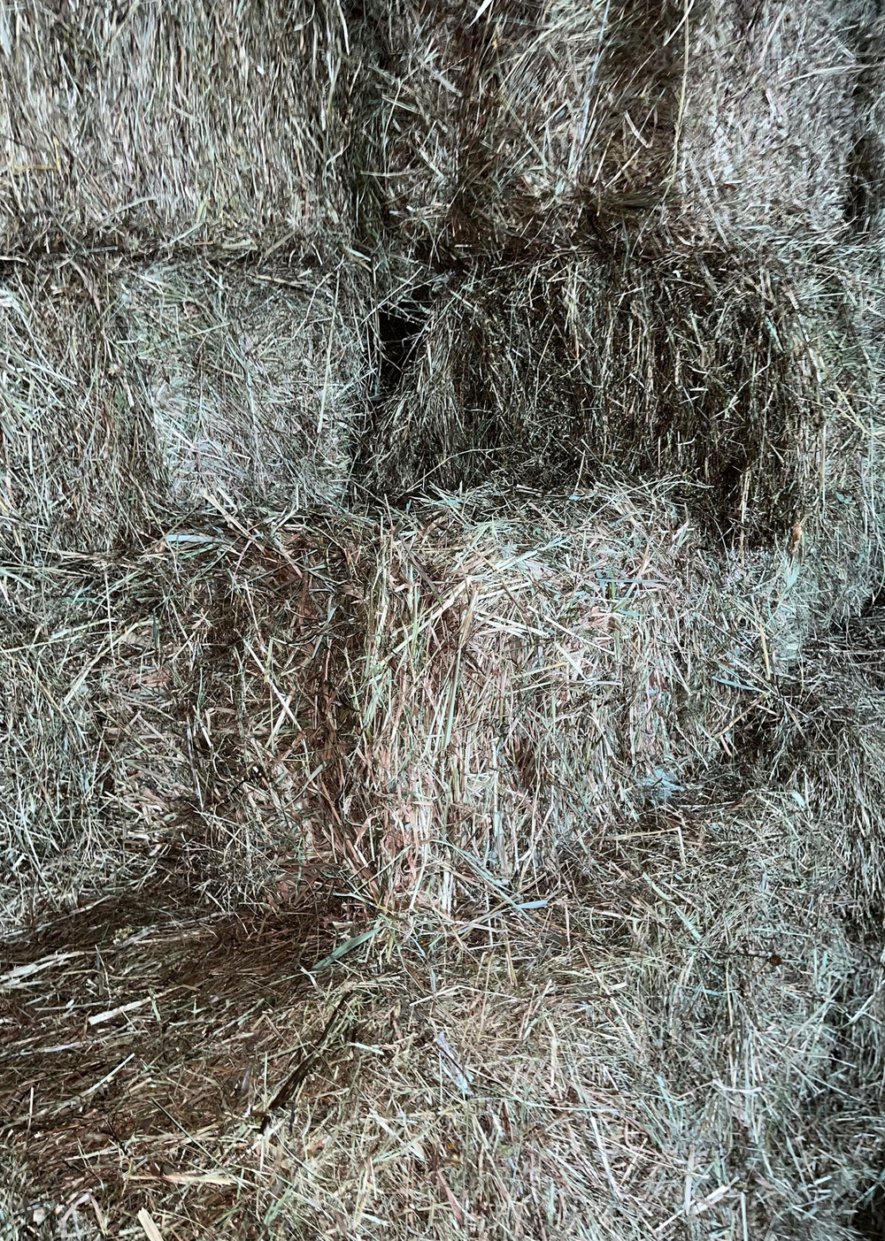 Сено луговое в кипах оптом от 50 кип Самовывоз или доставка с Волконского ш д 4 корп 8