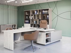 Кабинет руководителя Vilas