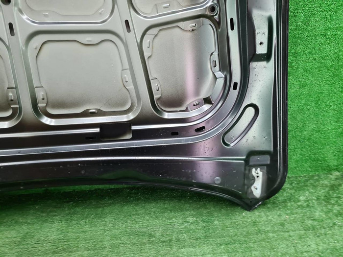 Капот Hongqi HS5 (2019-н.в.)