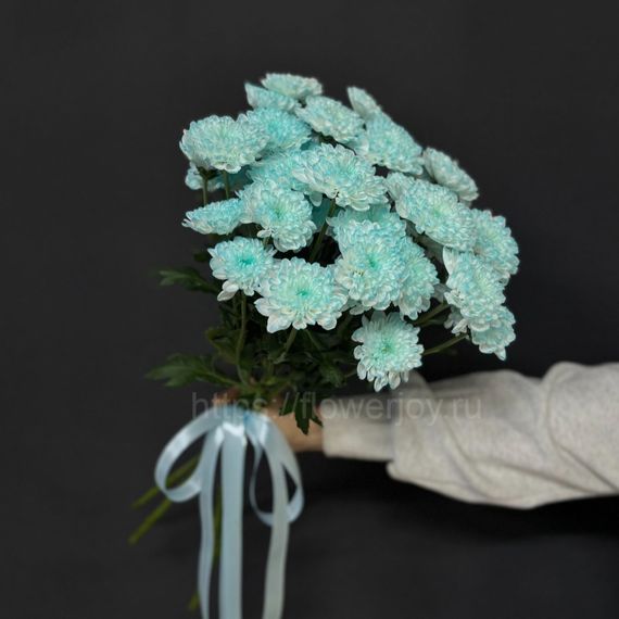 Букет из голубой хризантемы