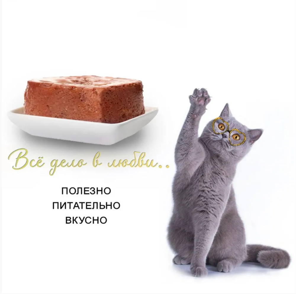 Паштет для стерилизованных кошек Best Dinner Cat Super Premium 0,1кг курица