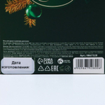 Подарочный новогодний набор «Мечты обязательно сбудутся»: гель для душа и шампунь для волос