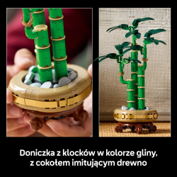LEGO Icons/ Dracaena sandera/ 10344