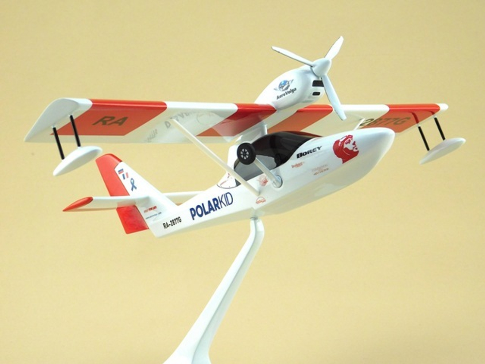 Модель самолета Borey (М1:32, Аэроволга)