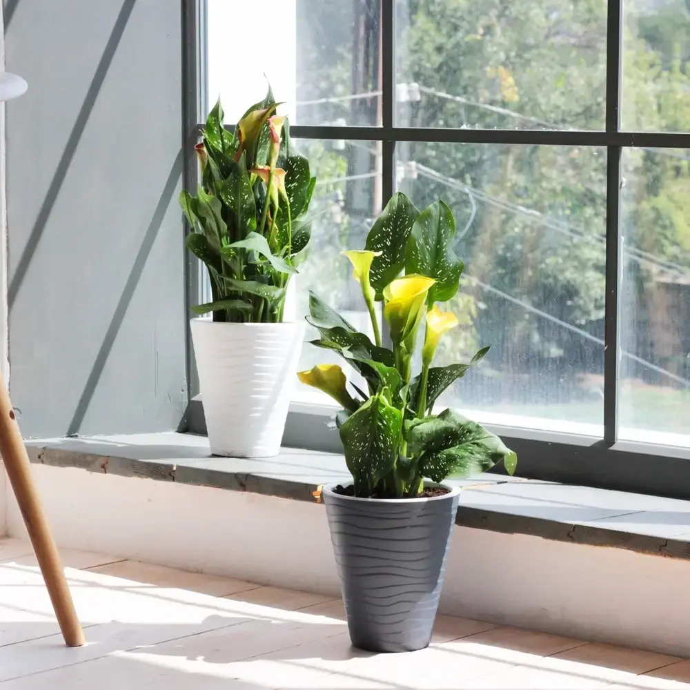 Кашпо для цветов пластиковое 2,8л d-17см «Валенсия» со вставкой белый