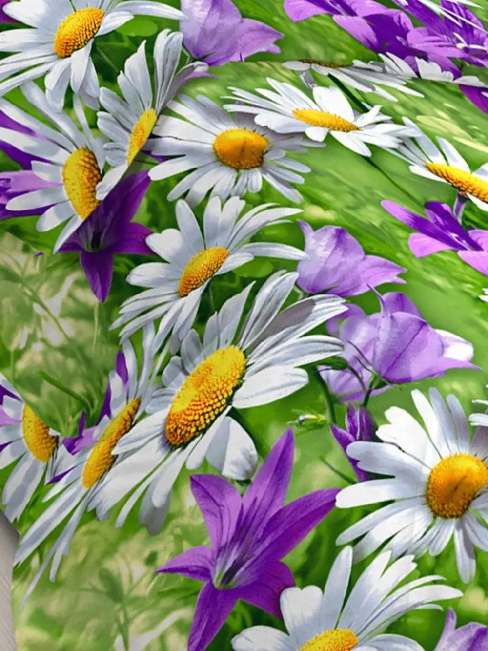 Комплект полутороспальный с одной наволочкой 70х70 см