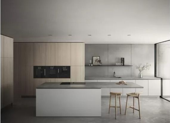 Духовой шкаф Gaggenau BSP250101