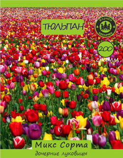 Тюльпан Луковица, дочерние, 200г
