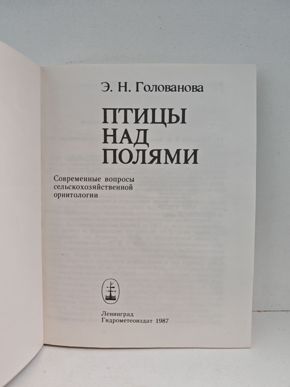 Птицы над полями