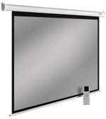 Экран  Cactus CS-PSSME-240X150-DG