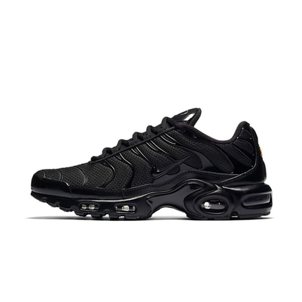 Мужские кроссовки Nike AIR MAX PLUS