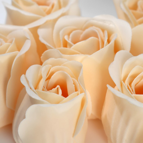 Подарочный набор «8 марта», ежедневник А5, 80 листов и мыльные лепестки