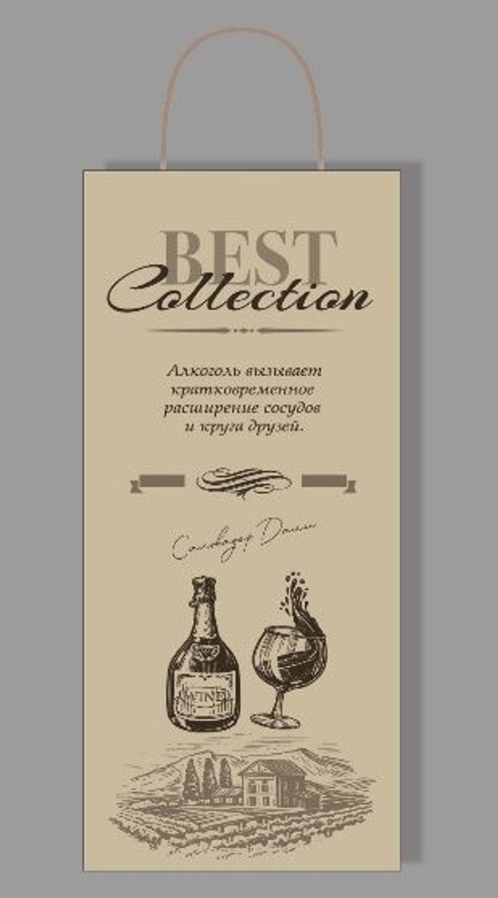 Пакет подар. бумажн. 39*15*8 см 90гр/м2 (под бутылку) "Долина"
