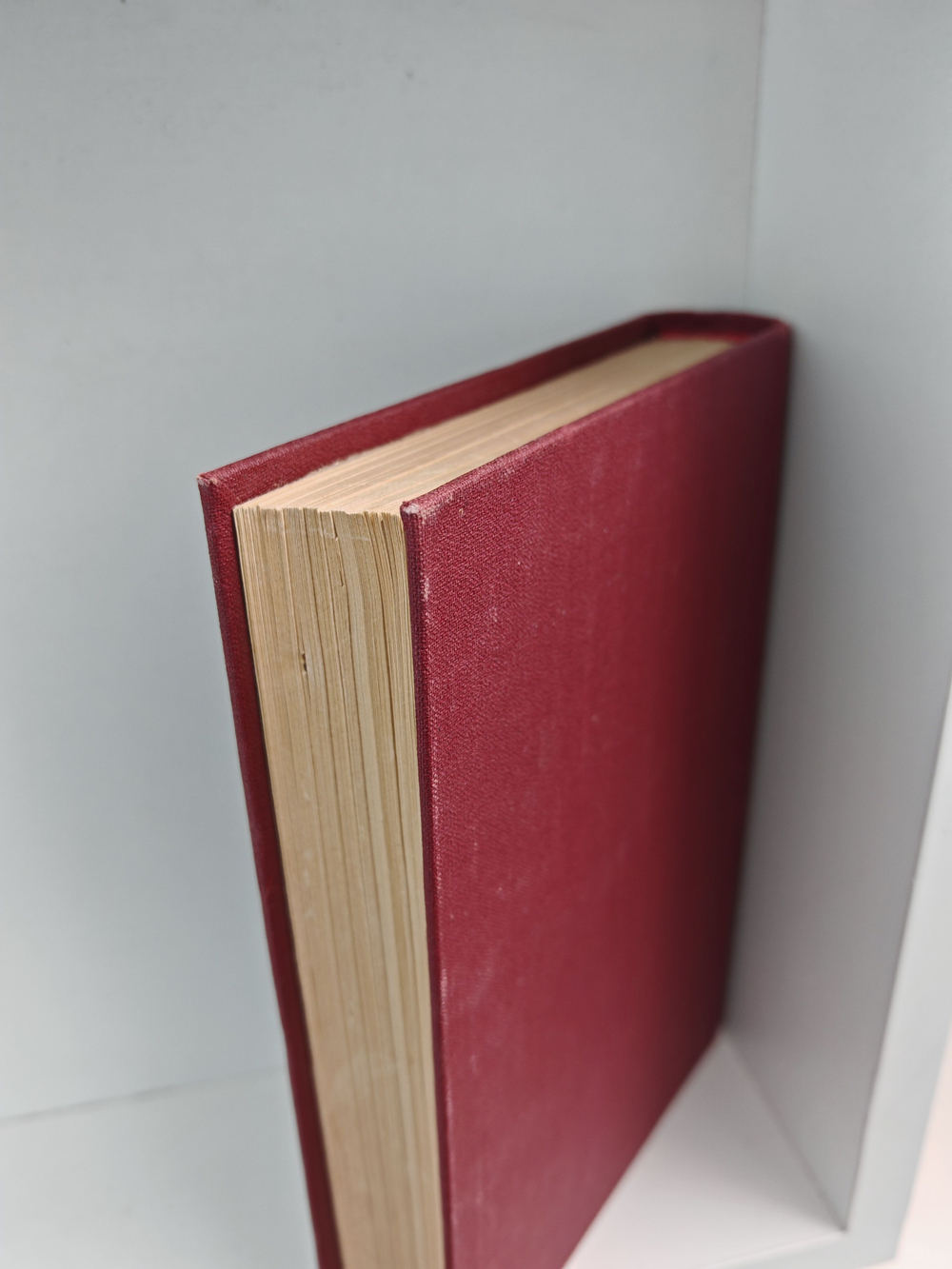 Полное собрание сочинений А. К. Шеллера-Михайлова. Том 12. Блага жизни. Господин пророк