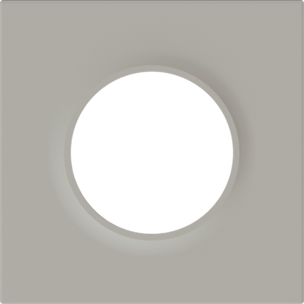 Рамка 1-я,  матовый кашемир,  серия D16