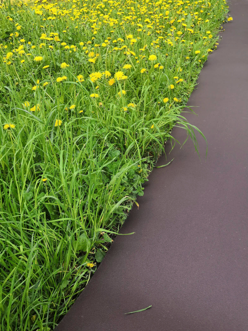 Покрытие для садовых дорожек из резино-пластика 3 мм (2,8мм), ширина 100 см (коричневый)