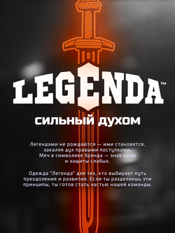 Толстовка демисезонная мужская Legenda Герб черная