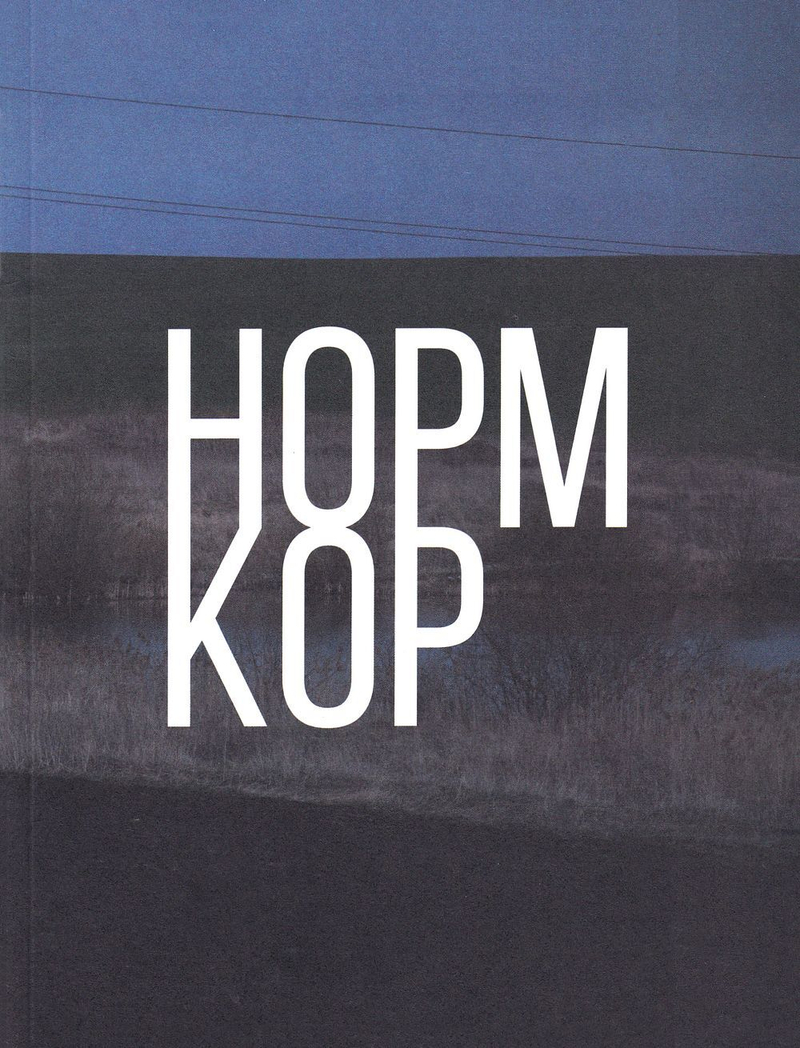 Нормкор. Практики повседневности в современной молодежной фотографии