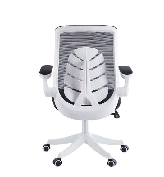 Офисное кресло Chairman CH565 белый пластик, черный