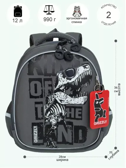 Çanta \ Bag \ RAz-487-2 Рюкзак школьный (/2 серый)