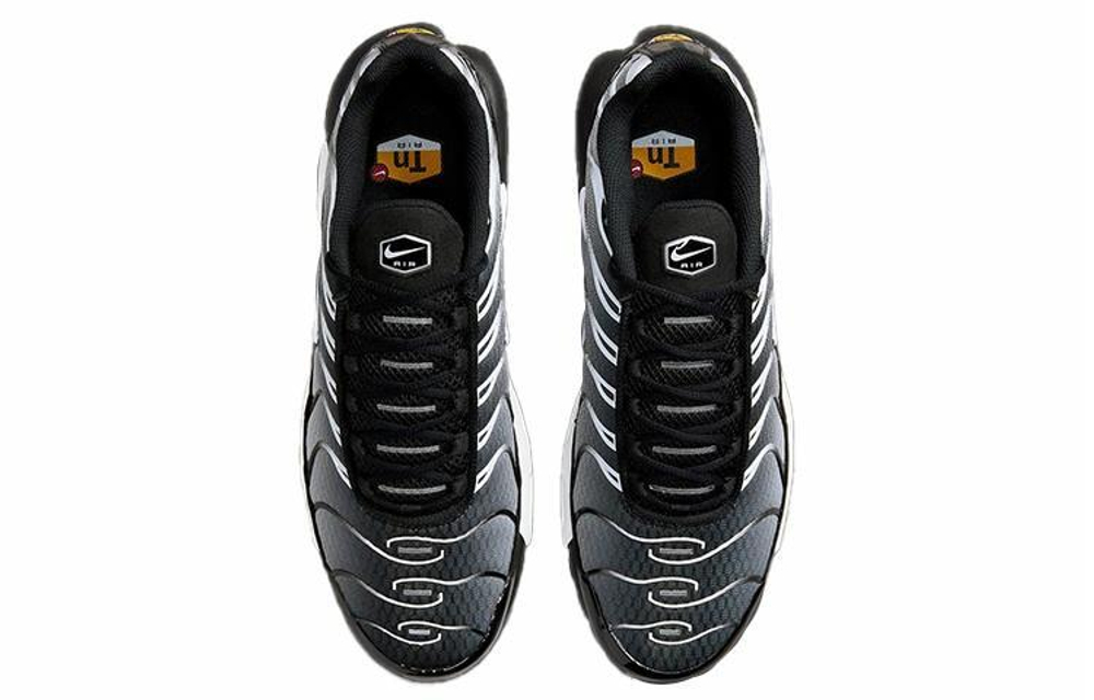 Кроссовки Nike Air Max Plus