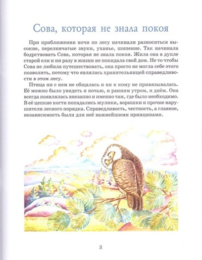Хранительница справедливости. Сказки про сову из сказочного леса. Марина Челик