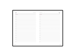 Подарочный набор: Jotter XL SE20 Monochrome в подарочной упаковке, цвет: Pink Gold, стержень Mblue и Ежедневник зеленый недатированный