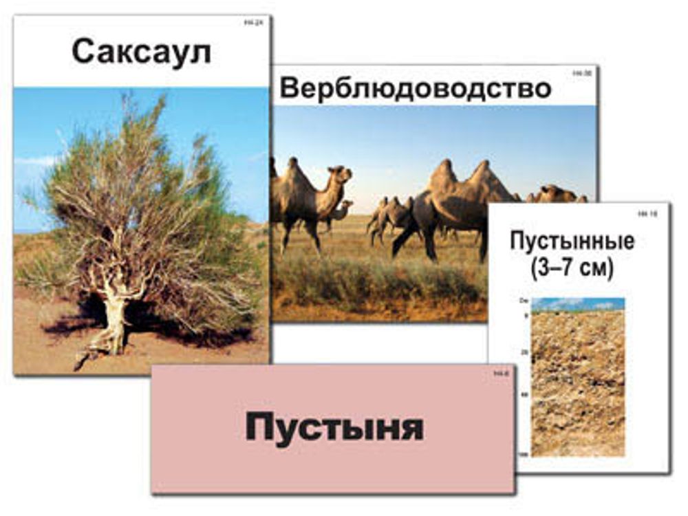 Модель-аппликация &quot;Природные зоны России&quot;