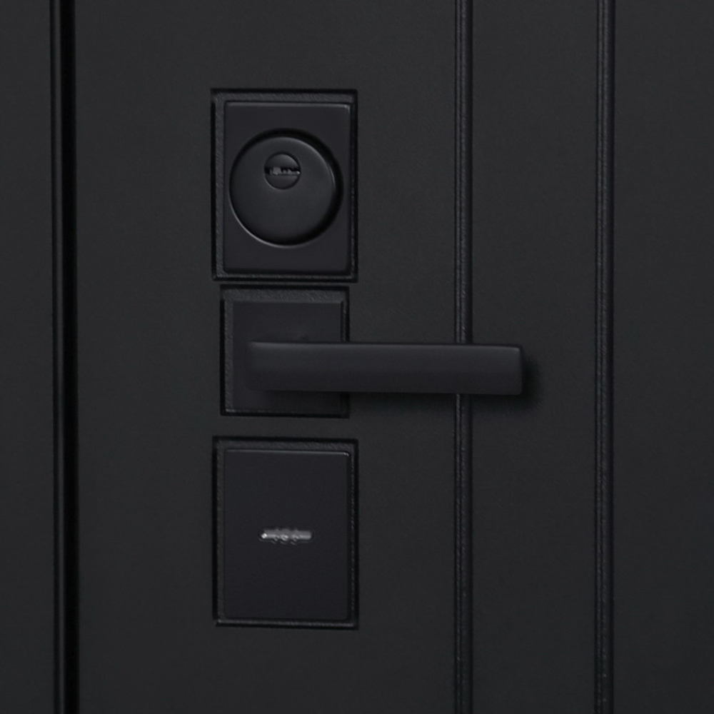 Стальная дверь "Freedom" с зеркалом. Заказная модель.