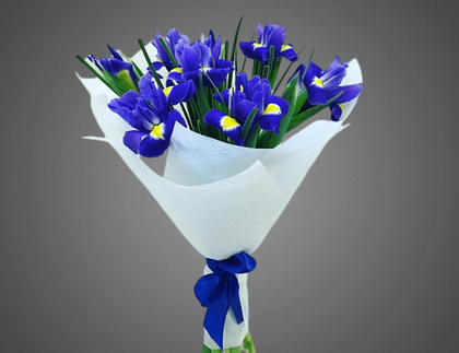 Букет из 9 ирисов