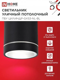 Светильник уличный потолочный ПБУ ЦИЛИНДР-1xGX53-NL-BL с подсветкой алюм черный IP54 IN HOME