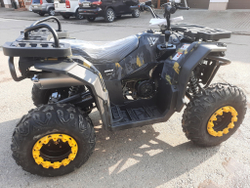Квадроцикл бензиновый MOTAX GRIZLIK W200
