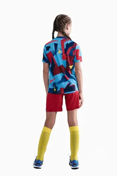 Футболка Nike FC Barcelona 25/26 Academy Pro Junior - многоцветный