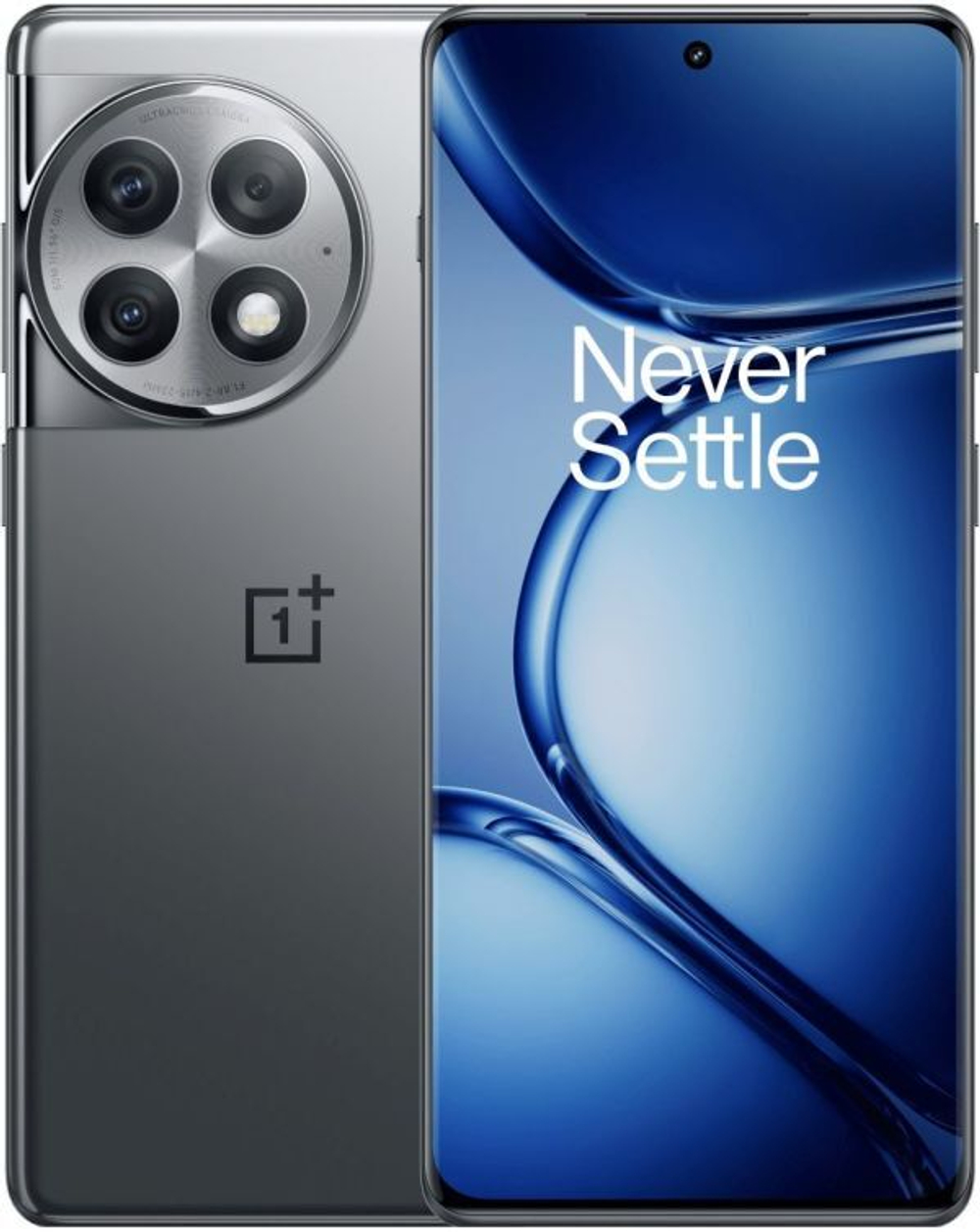 OnePlus Ace 2 Pro 16/512Gb Gray