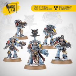 Grey Hunters (5) (space wolves tactical squad)