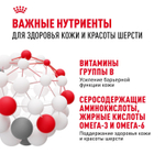 Royal Canin Hair&Skin Care Корм сухой для взрослых кошек для поддержания здоровья кожи и шерсти 2кг