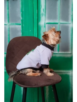 Толстовка для собак и кошек