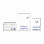 Конверты Е65 (110х220 мм), отрывная лента, Куда-Кому, внутренняя запечатка, КОМПЛЕКТ 100 шт., BRAUBERG, 112195