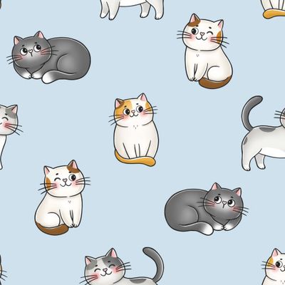 Котики