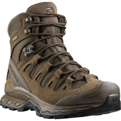 Salomon — ботинки Quest 4D GORE-TEX® Forces 2 EN (Earth Brown, размер 41)