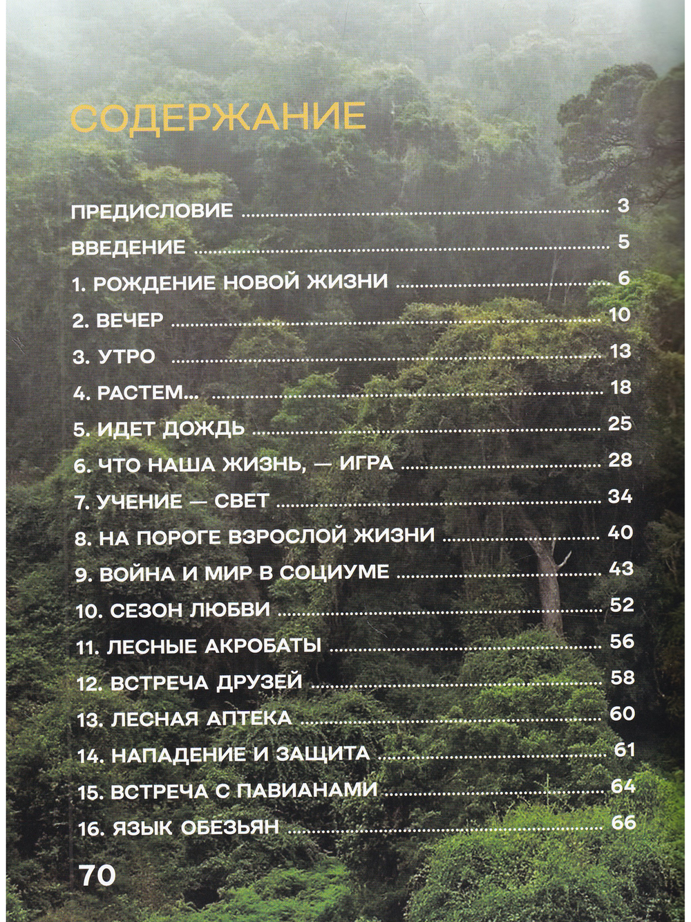 Жизнь и приключения шимпанзе в тропическом лесу