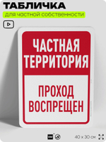 Табличка для частной территории "Частная территория, проход воспрещен", на дом, для участка, организаций, предупреждающая, 40х30 см, Silver Plane x Айдентика Технолоджи