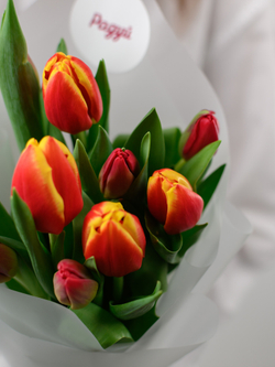 Тюльпаны микс