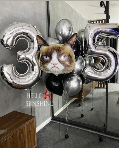 Сет Мужу, грустный кот