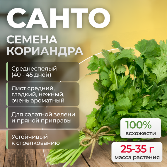 САНТО семена кориандра (Sakata) купить